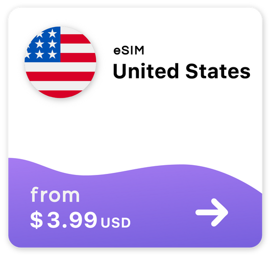USA eSIM