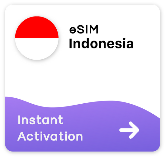 Indonesia eSIM