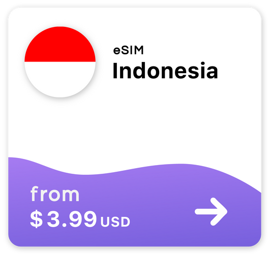 Indonesia eSIM